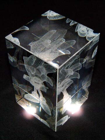 cube02
